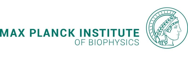 Max Planck Institute of Biophysics Frankfurt