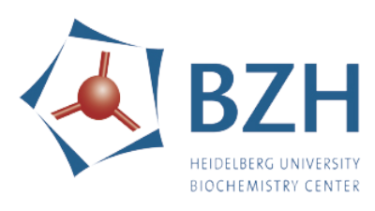 Heidelberg University BZH